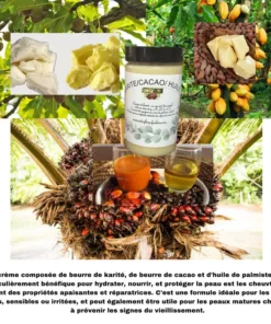 BEURRE DE CACAO/HUILE DE PALMISTE /BEURRE DE KARITÉ